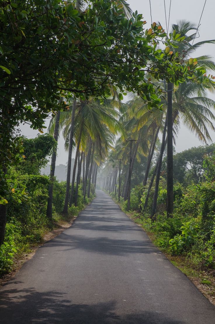 Goa Beach Experience | Water Sports, Nightlife...